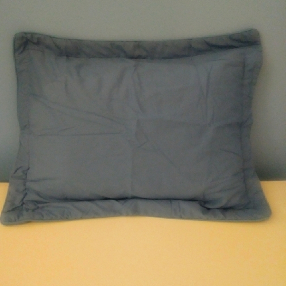 Set of Two Standard Pillow Shams